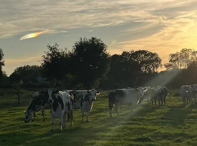 Feriehus La Vie Est Belle Ryes